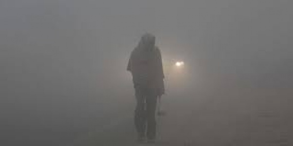 Daily life affected as Terai districts experience thick fog